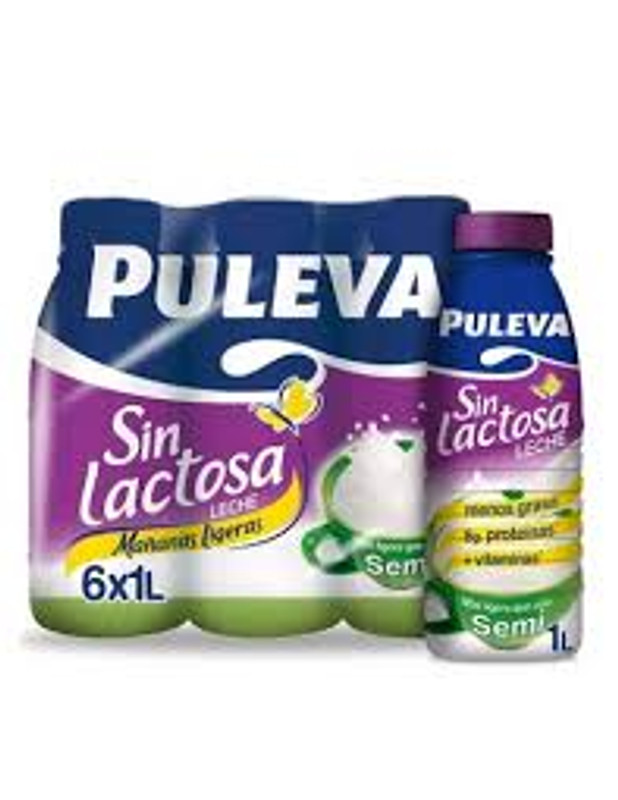 PULEVA SEMIDESNATADA SIN LACTOSA