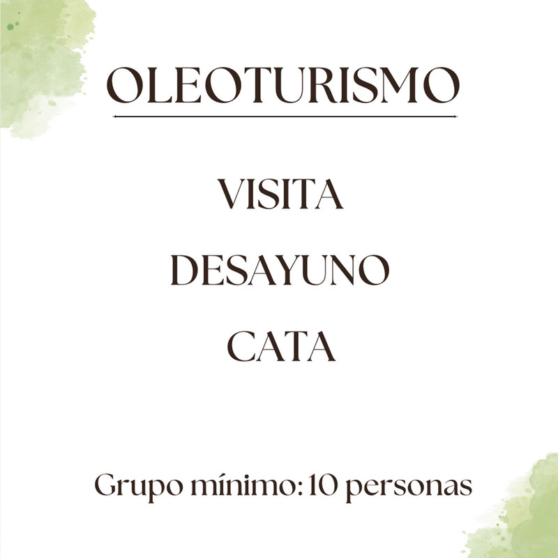 Experiencia de Oleoturismo con Visita, Desayuno y Cata de AOVE