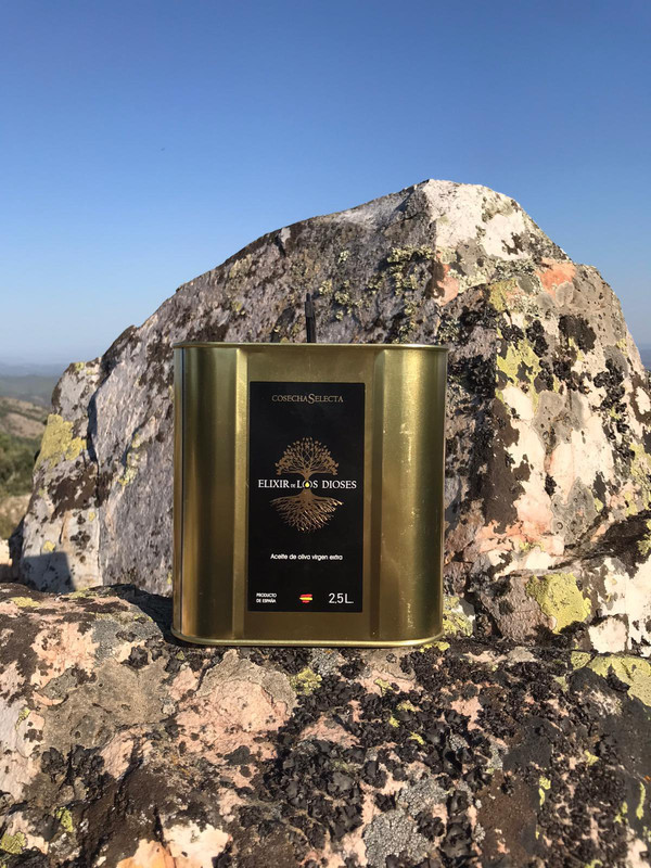 Elixir de Los Dioses 11