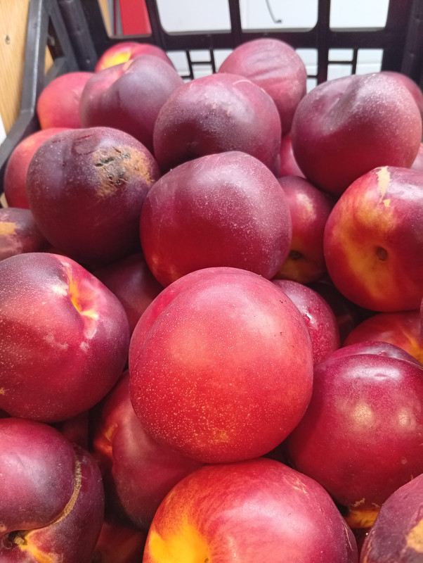Frutas Aitor 2