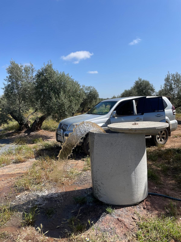 Hnos. Alfaro Marín 6