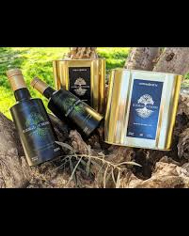 Elixir de Los Dioses 6