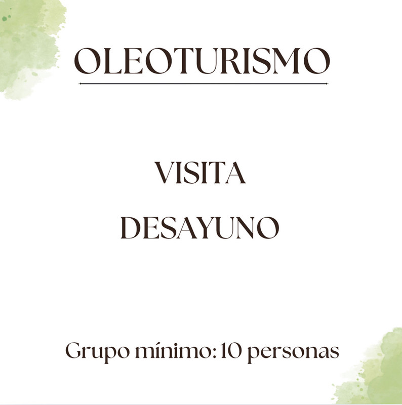 Experiencia de Oleoturismo con Visita Guiada y Desayuno