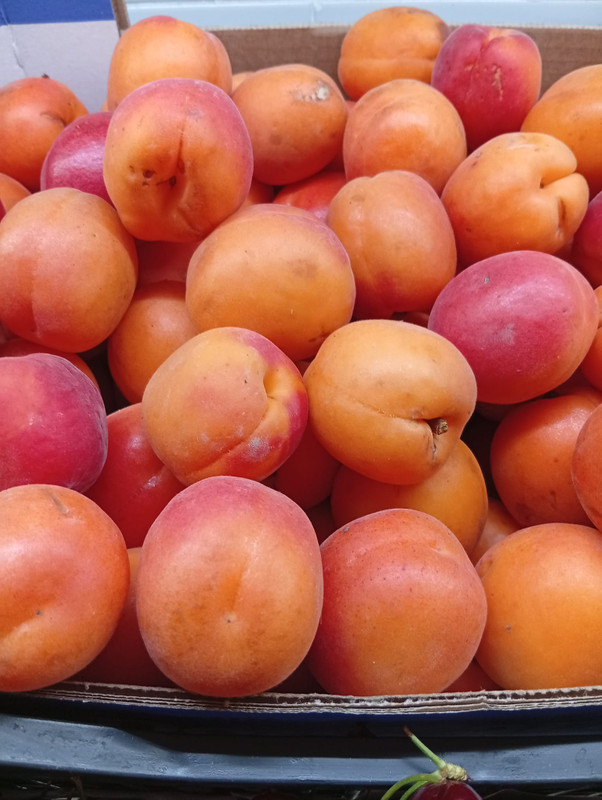 Frutas Aitor 3