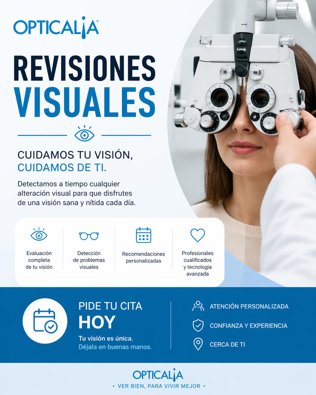 Revisión visual