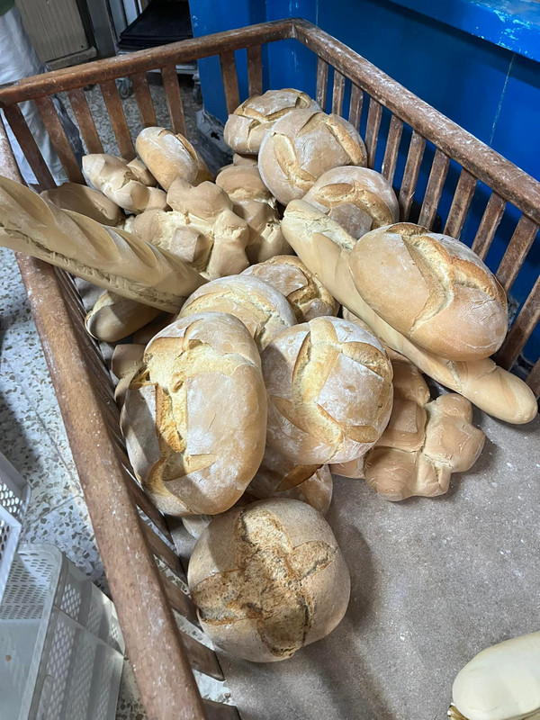 SABOR SIERRA 8