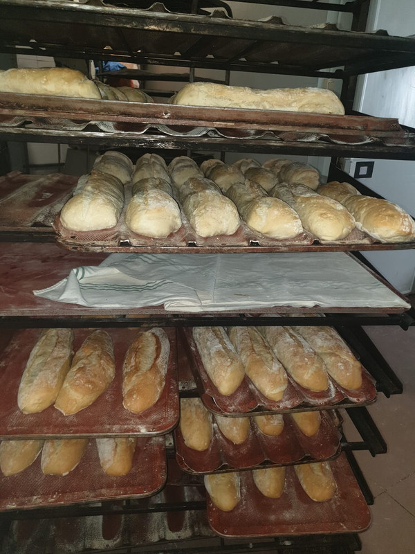 PANADERÍA-CONFITERÍA ARTESANA ALEJANDRO 15