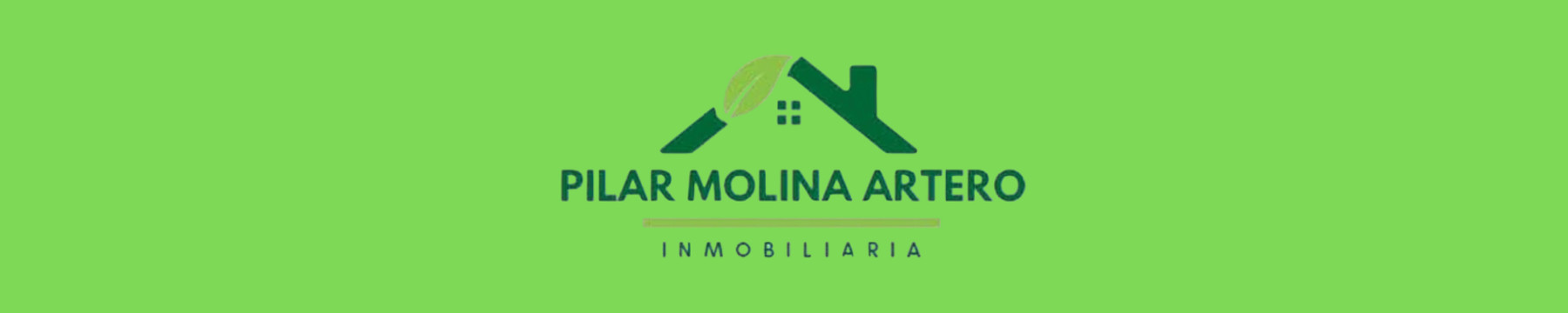 Inmobiliaria Pilar Molina Artero