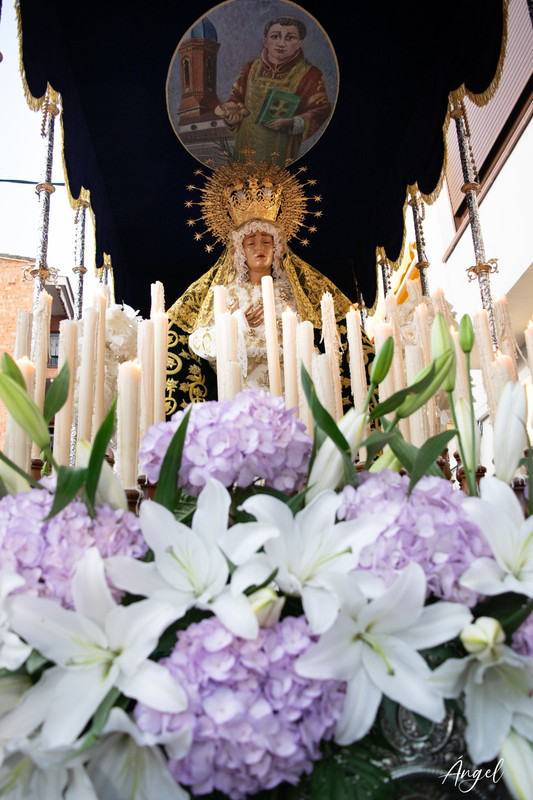 Cofradía de Nstro. Padre Jesús de Nazareno y Stma. Virgen de la Amargura 3