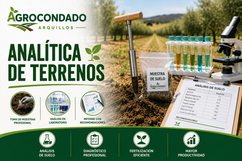Analítica de Terrenos