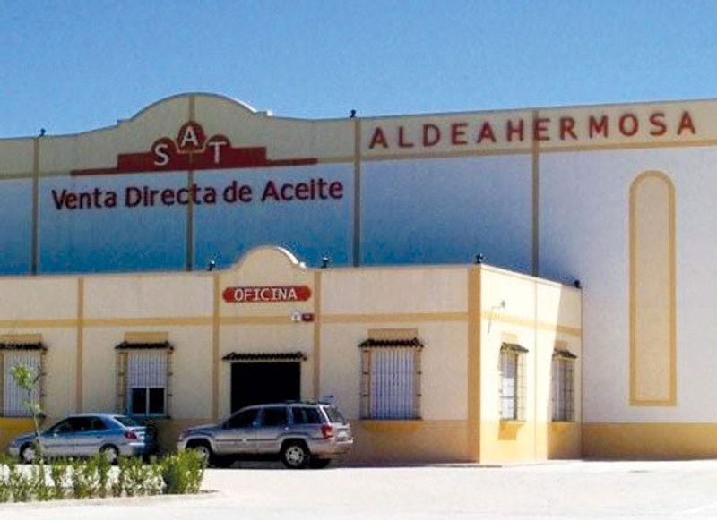 Aceites Aldeahermosa 4